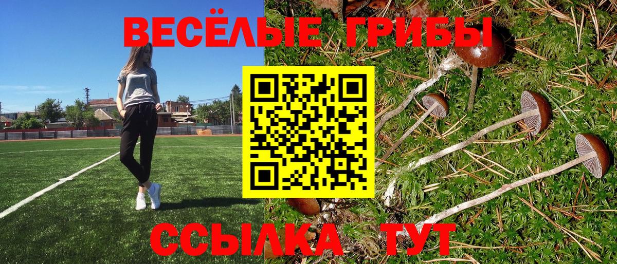 Галлюциногенные грибы прущие грибы Тимашёвск