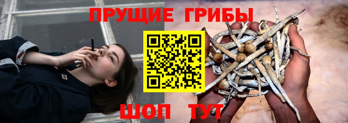 Галлюциногенные грибы Magic Shrooms  Вход с VPN  Тимашёвск  Псилоцибиновые грибы Cubensis 